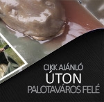 Úton Palotaváros felé