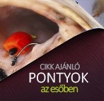 Pontyok az esőben