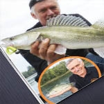 Erő és harmónia