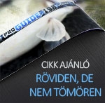 Röviden, de nem tömören