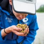 Kedvenc nyári aromáim