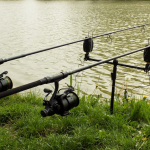 Az angol stílus: Sonik Carp