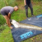 Mázsa feletti fogással nyert versenyt a Koós Catfish Team