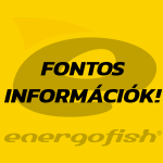 Fontos információk: Működésünk a koronavírus járvány ideje alatt!